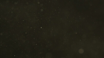 Dust particles floating in air with natural back light