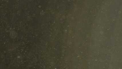 Dust particles floating in air with natural back light