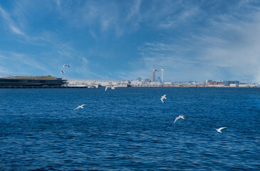 港のカモメが飛んでいる風景