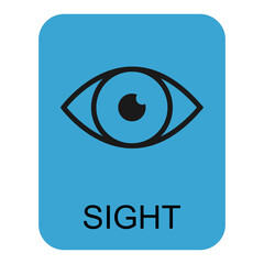 Human anatomy flat eye icon, sight health organ vector illustration, face part sign