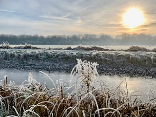 Foto auf Leinwand Delft, sunrise, delftse hout, nature, winter, frost, ice, snow, the netherlands © Peter