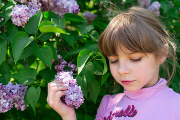 A 7-year-old girl with dark hair in a pink sweater stands in light-colored lilac flowers in a green garden