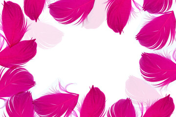 Pink feathers textured background. Feather background, top view