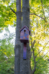 The funny painted birdhouses on the tree. Handmade wooden nesting box.