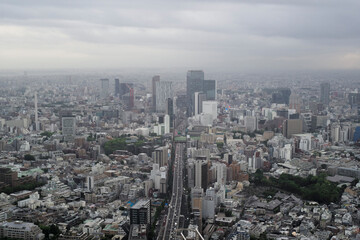 Fototapeta premium 東京