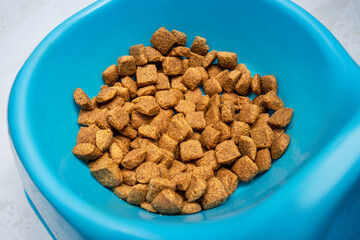 A bowl of cat or dog food. The concept of healthy ingredients and a diet for your pet