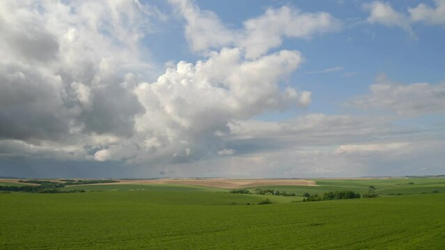 Fantastic view of endless green fields in spring. Filmed in UHD 4k video.