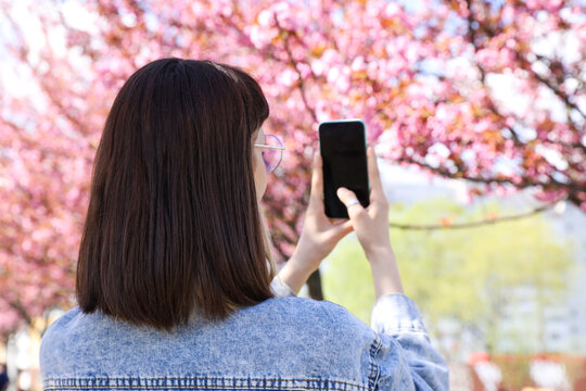 Young woman taking picture of blossoming sakura tree in park, back view