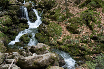 Sollbacher Wasserfälle im Bayrischen Wald