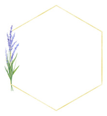 Watercolor hand drawn beautiful frame with lavender flowers