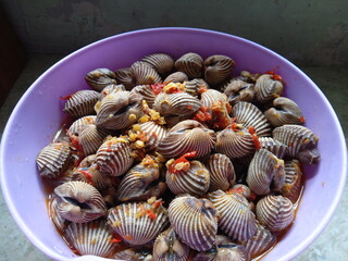  Boiled cockles,  blood clams seasoned with red onion, garlic and cayenne pepper. placed in a purple plastic bowl, top view of hot delicious sauce, Indonesian food