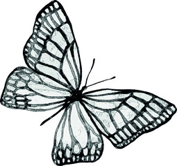Sketch of a butterfly on a white background. Handmade illustration. Image for tattoo. Unique design. For invitations and cards.