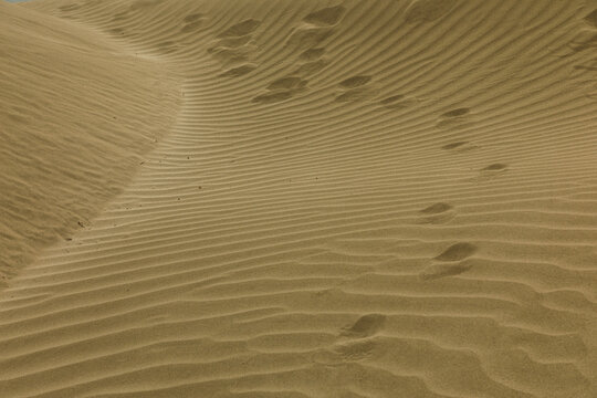 Footsteps On The Sand Dunes