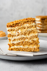 Slice of honey cake with sponge cakes and sour cream served on a plate with a fork on a light concrete background. Close-up Medovik