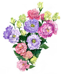 花の絵／トルコギキョウ。花の表情を華やかにかわいく素敵に表現した水彩画です。花好きな一人の作家による作品集です。