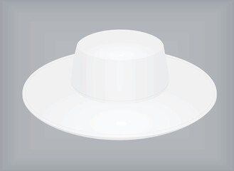 Woman summer hat. vector illustration