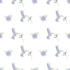 flying hummingbird purple flower and leafs seamless pattern isolated on a white background. texture for fabric, textile, wallpaper, apparel. Vector illustration