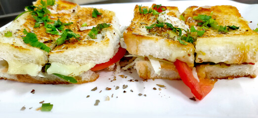 Closup view of traditional homemade cheese sandwich on whole wheat bread