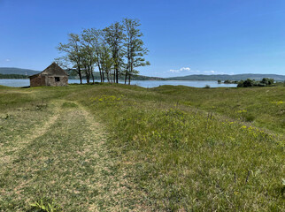 Obraz premium Alte Hütte mit Baumgruppe am Ufer der Donau in den Dünen der Banater Sandwüste, Vojvodina, Serbien