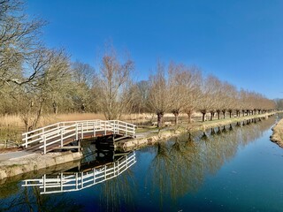 Bridge in landscape