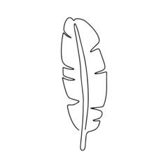 Banana leaf. The flower leaf is drawn in one line, isolated on a white background. Vector illustration. Drawing a continuous line.