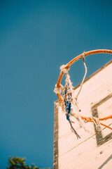 sunny summer basketball  