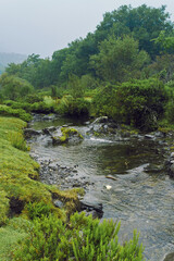 Fototapeta na wymiar Idyllic landscape in the mountains with river