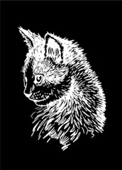 Vector portrait of kitten looking left isolated on black,graphical engraved illustration