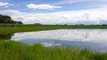 Landscape of a sunset in Valle del Cauca, next to a sugar cane crop.