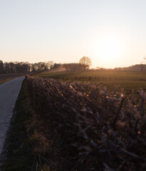 Limburg region sunset biking