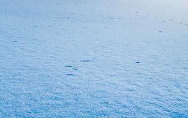 Snow field in winter day (background)