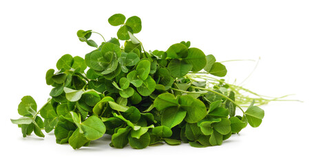 Bunch of clover leaves.