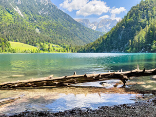 Bergsee mit Holzstock im Vordergrund