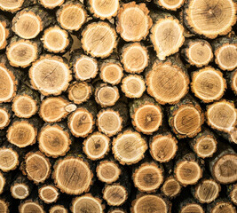 Background from chopped stacked firewood.  Natural texture.