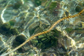 Rope floating at the Surface on water with water ripple.