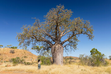 A woman is standing in front of a big boab tree in Kimberley, Western Australia