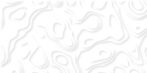 3D Landscape Paper Cut style, Curved shapes with gradients, abstract geometric lines pattern background. Modern paper cut white background. Topographic canyon map light relief texture