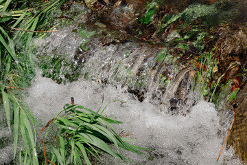川の草中に流れる水流の様子