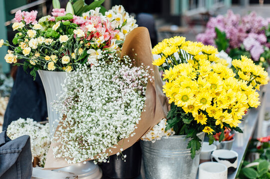 Kachim paniculate in a vase, flower sale