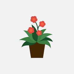 Geranium a houseplant with red flowers.  Flower Vector illustration