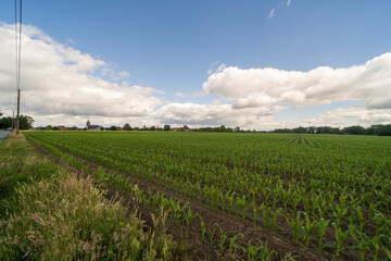 Green fields surrounding Neeritter, The Netherlands