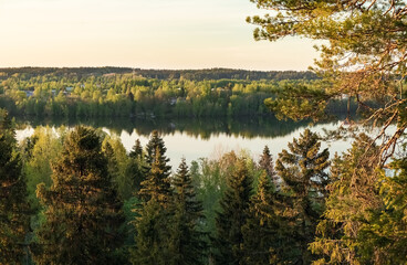 Sunset in the forest. Nice view of the lake from above. Blurred background. Photo