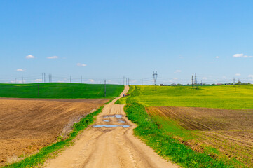 Beautiful summer agro landscape with a road, rapeseed fields and meadows