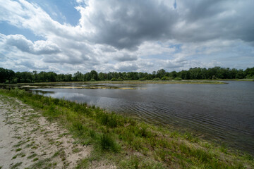Fototapeta na wymiar A lake in the Lozerheide nature reserve in Belgium
