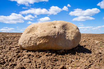 Beautiful big boulder stone in agro field with blue sky
