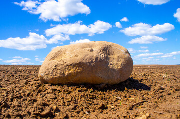 Beautiful big boulder stone in agro field with blue sky