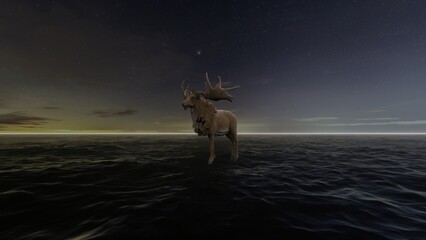 Fototapeta premium stag at sea
