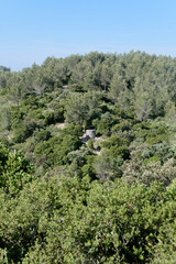 Fototapeta na wymiar Vue de la Combe des Bourguignons dans le Gard - France