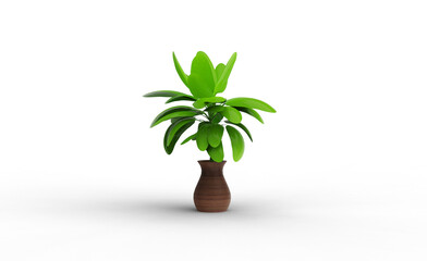 Fototapeta na wymiar Chinese Evergreen plant with shadow 3d render