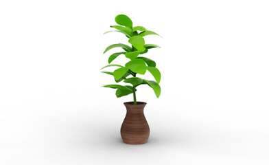 Fototapeta na wymiar Fiddle Leaf plant with shadow 3d render